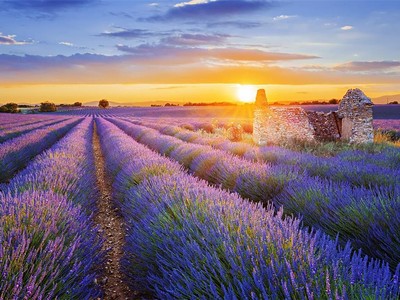 Provence s koupáním 2021